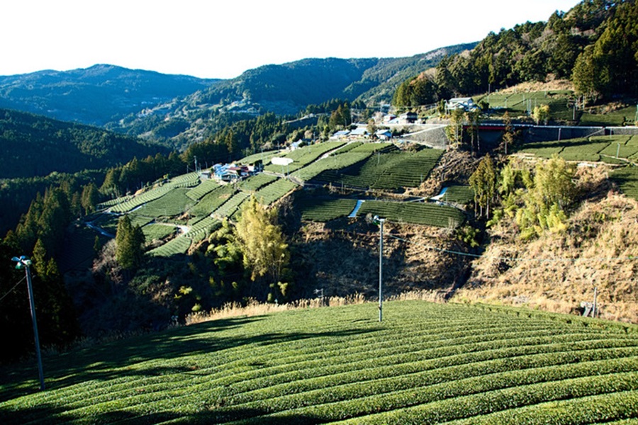 静岡県榛原郡川根本町2